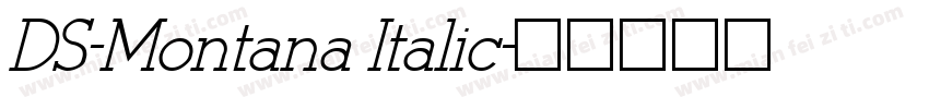 DS-Montana Italic字体转换